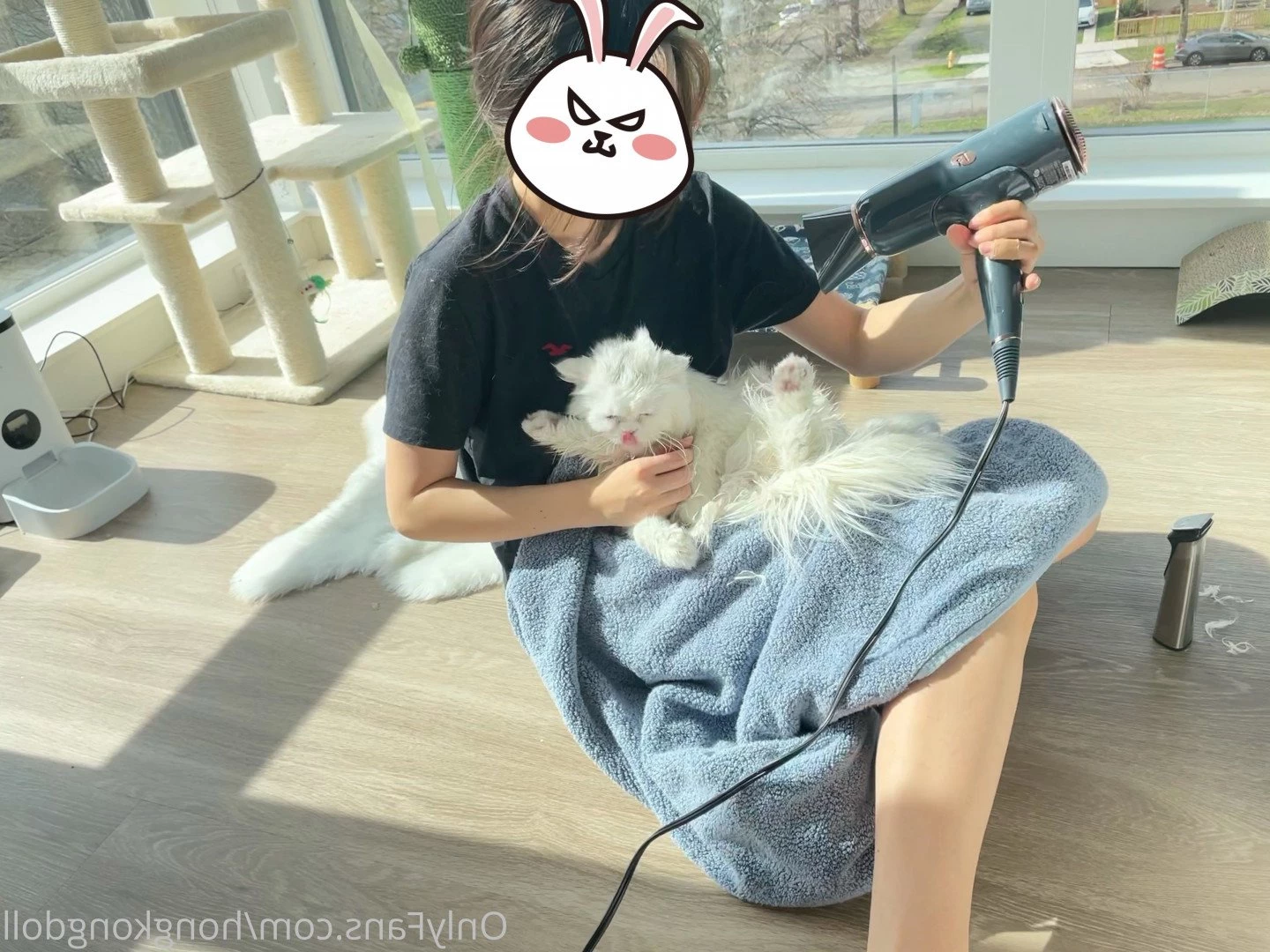 hongkongdoll Onlyfans leaked photo 494607 on Hotleaks.tv