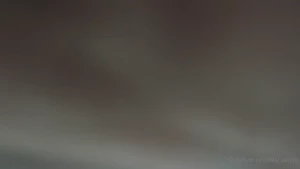 18269586