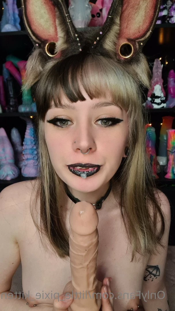 𝕷𝖎𝖙𝖙𝖑𝖊 𝕻𝖎𝖝𝖎𝖊 𝕶𝖎𝖙𝖙𝖊𝖓 [ little_pixie_kitten ] Onlyfans leaked photo 5467781 on Hotleaks.tv