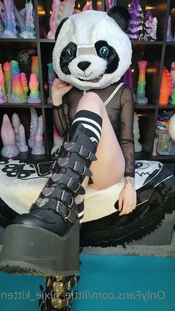 𝕷𝖎𝖙𝖙𝖑𝖊 𝕻𝖎𝖝𝖎𝖊 𝕶𝖎𝖙𝖙𝖊𝖓 [ little_pixie_kitten ] Onlyfans leaked photo 5467929 on Hotleaks.tv