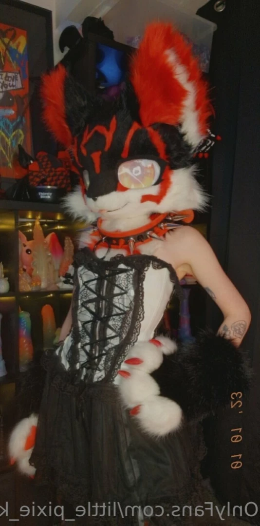 𝕷𝖎𝖙𝖙𝖑𝖊 𝕻𝖎𝖝𝖎𝖊 𝕶𝖎𝖙𝖙𝖊𝖓 [ little_pixie_kitten ] Onlyfans leaked photo 12226213 on Hotleaks.tv