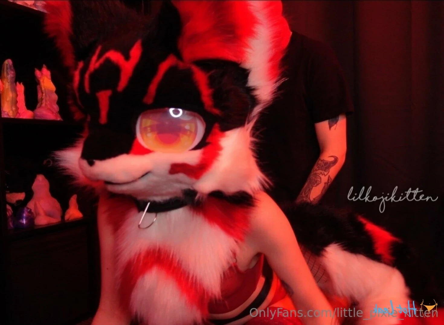𝕷𝖎𝖙𝖙𝖑𝖊 𝕻𝖎𝖝𝖎𝖊 𝕶𝖎𝖙𝖙𝖊𝖓 [ little_pixie_kitten ] Onlyfans leaked photo 16426252 on Hotleaks.tv