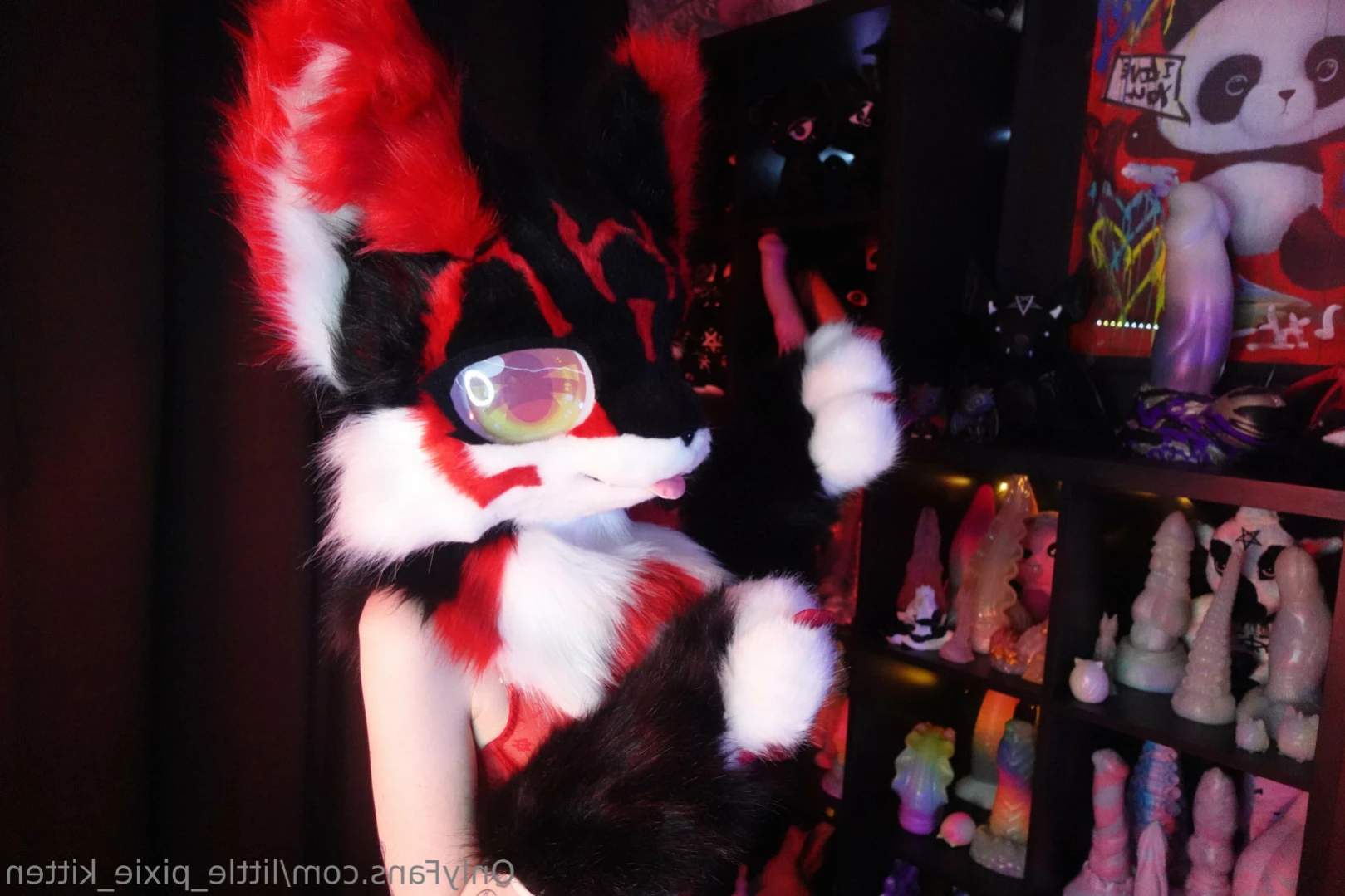 𝕷𝖎𝖙𝖙𝖑𝖊 𝕻𝖎𝖝𝖎𝖊 𝕶𝖎𝖙𝖙𝖊𝖓 [ little_pixie_kitten ] Onlyfans leaked photo 16426299 on Hotleaks.tv