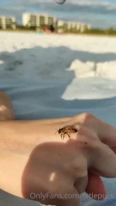 LiTTLE PUCK [ littlepuck ] Onlyfans leaked video 5187682 on Hotleaks.tv