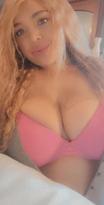 16211553