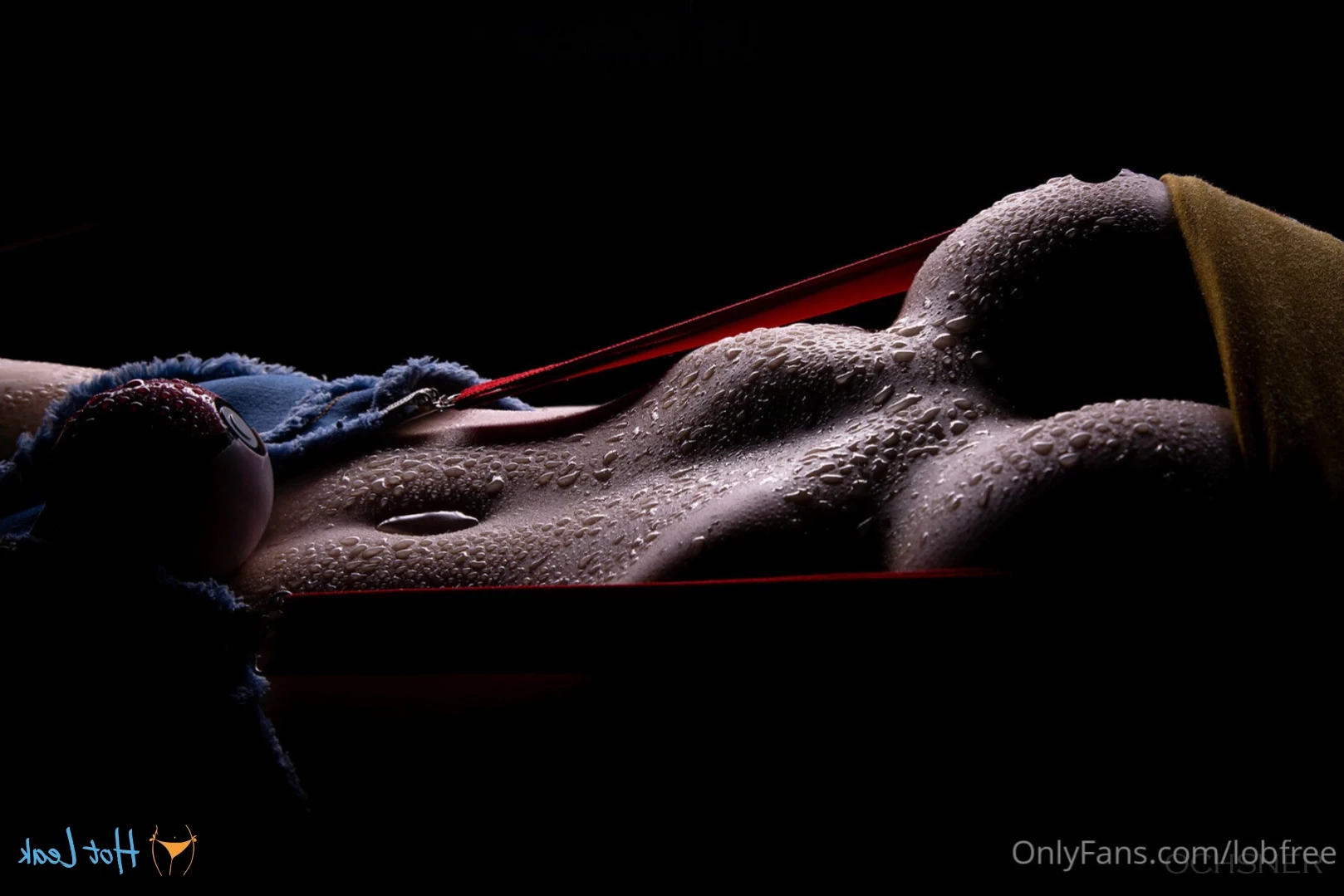 Lo B [ lobfree ] Onlyfans leaked photo 14595094 on Hotleaks.tv