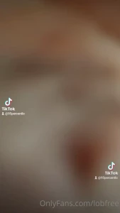 15070158