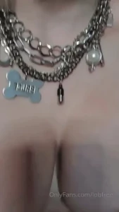 15070264