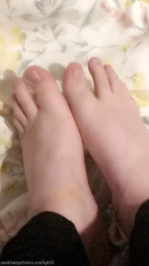 5663113