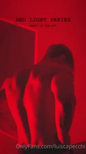 18267783