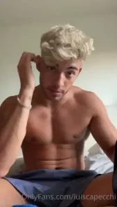 18267786