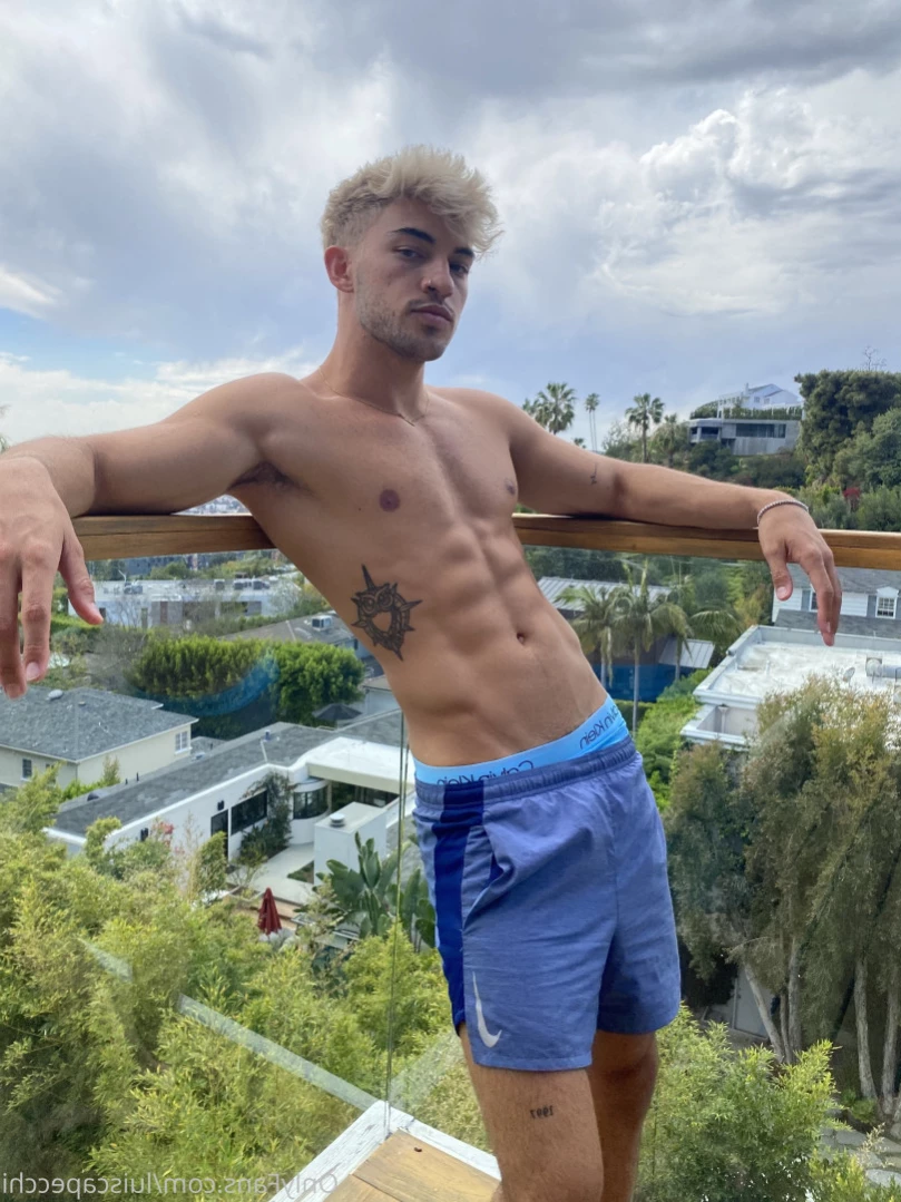 LC [ luiscapecchi ] Onlyfans leaked photo 13816489 on Hotleaks.tv