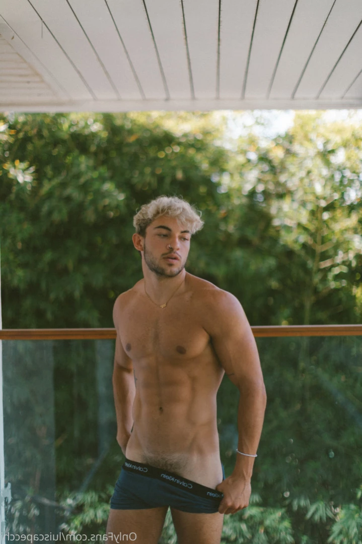 LC [ luiscapecchi ] Onlyfans leaked photo 14662265 on Hotleaks.tv