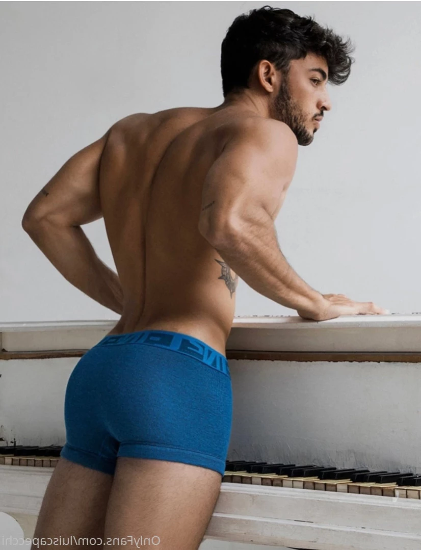 LC [ luiscapecchi ] Onlyfans leaked photo 15805484 on Hotleaks.tv