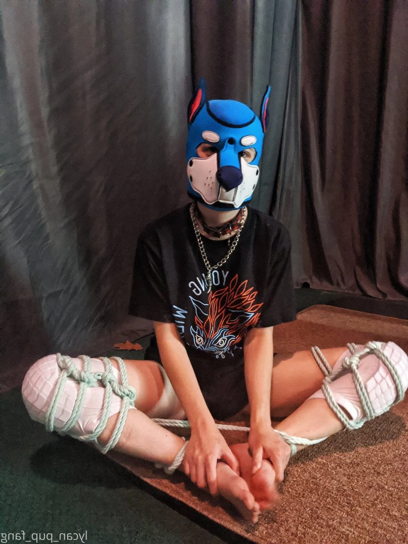 Pup's Kinky Den [ lycan_pup_fang ] Onlyfans leaked photo 5424140 on Hotleaks.tv