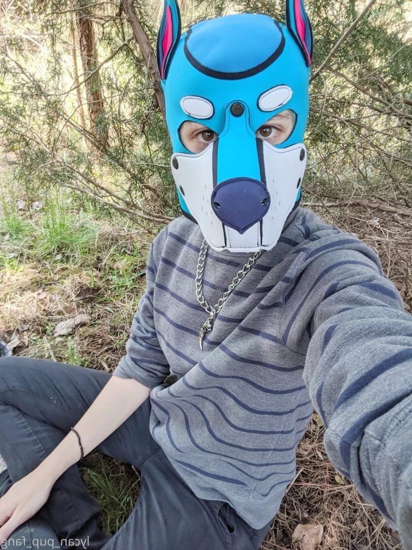 Pup's Kinky Den [ lycan_pup_fang ] Onlyfans leaked photo 5424653 on Hotleaks.tv