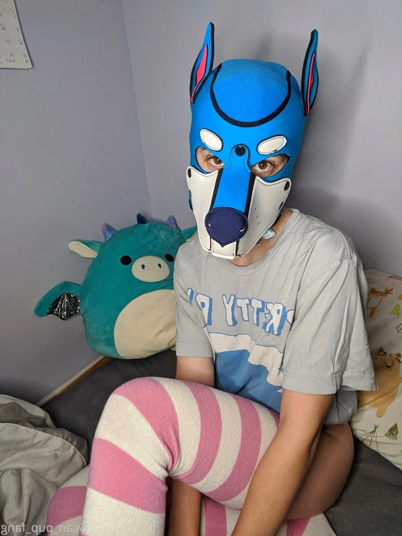 Pup's Kinky Den [ lycan_pup_fang ] Onlyfans leaked photo 5424861 on Hotleaks.tv