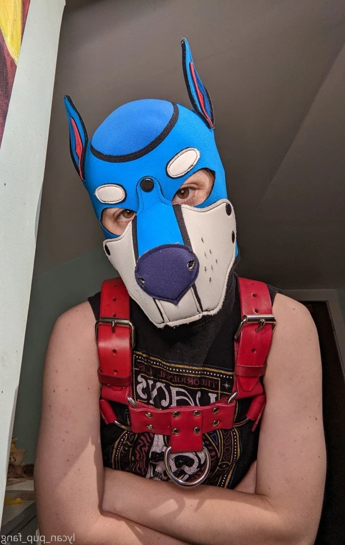 Pup's Kinky Den [ lycan_pup_fang ] Onlyfans leaked photo 5425900 on Hotleaks.tv