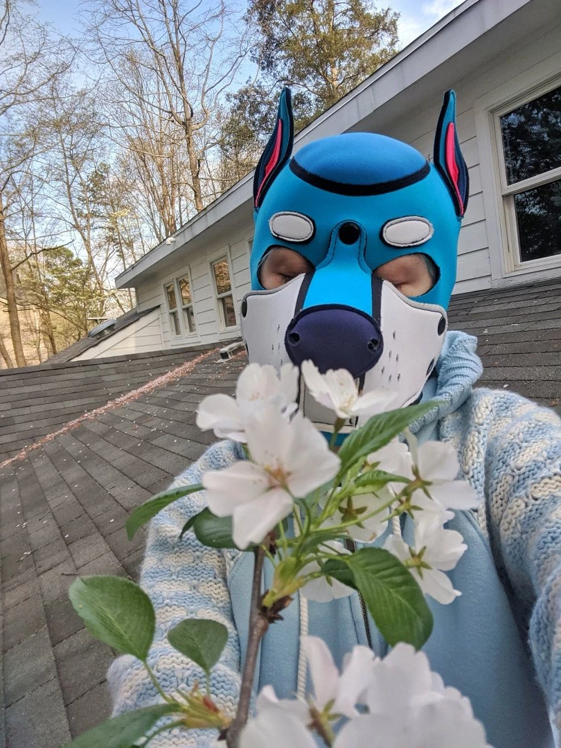 Pup's Kinky Den [ lycan_pup_fang ] Onlyfans leaked photo 5425957 on Hotleaks.tv