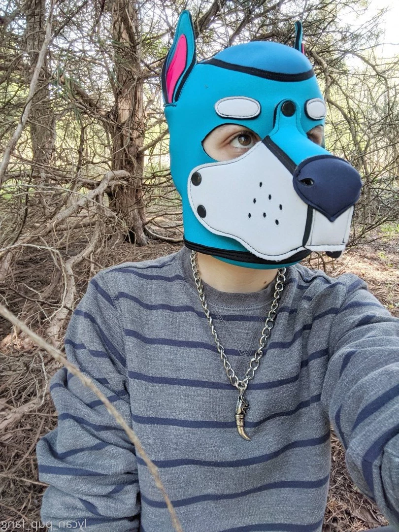 Pup's Kinky Den [ lycan_pup_fang ] Onlyfans leaked photo 5426058 on Hotleaks.tv