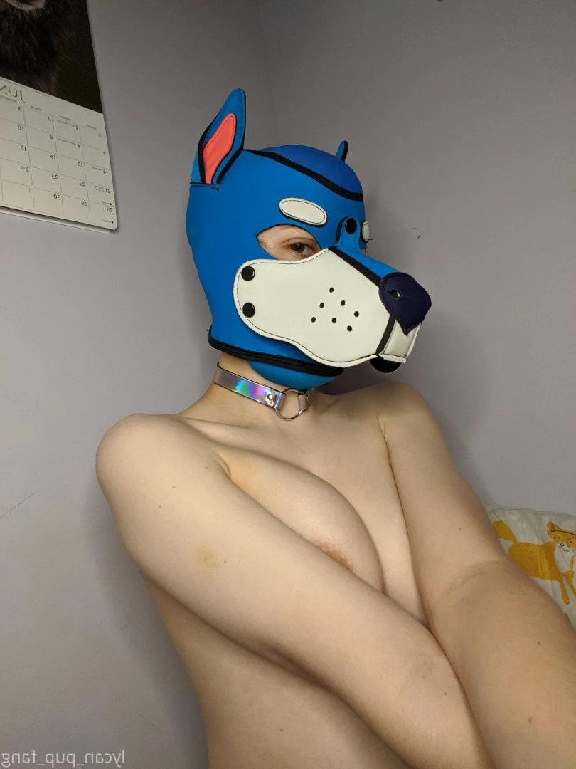 Pup's Kinky Den [ lycan_pup_fang ] Onlyfans leaked photo 5426222 on Hotleaks.tv