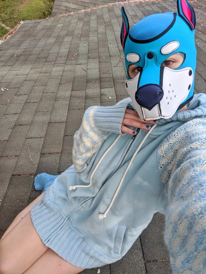 Pup's Kinky Den [ lycan_pup_fang ] Onlyfans leaked photo 5426500 on Hotleaks.tv