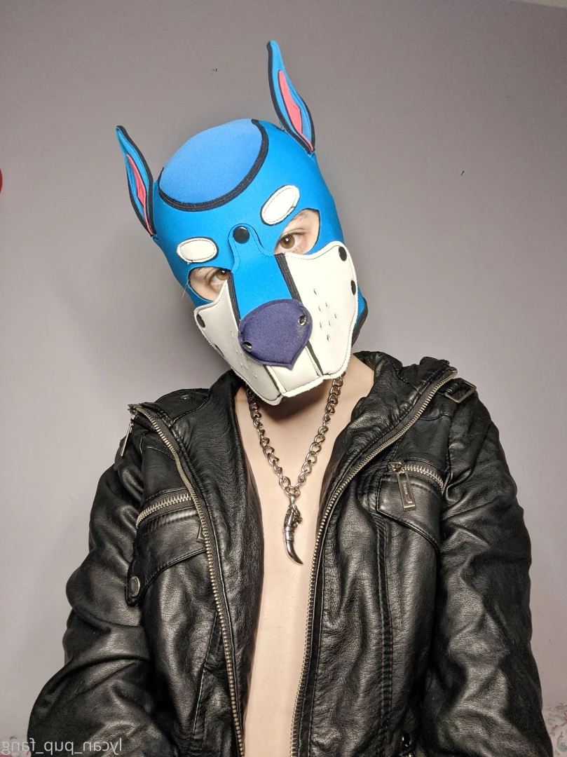Pup's Kinky Den [ lycan_pup_fang ] Onlyfans leaked photo 9073714 on Hotleaks.tv