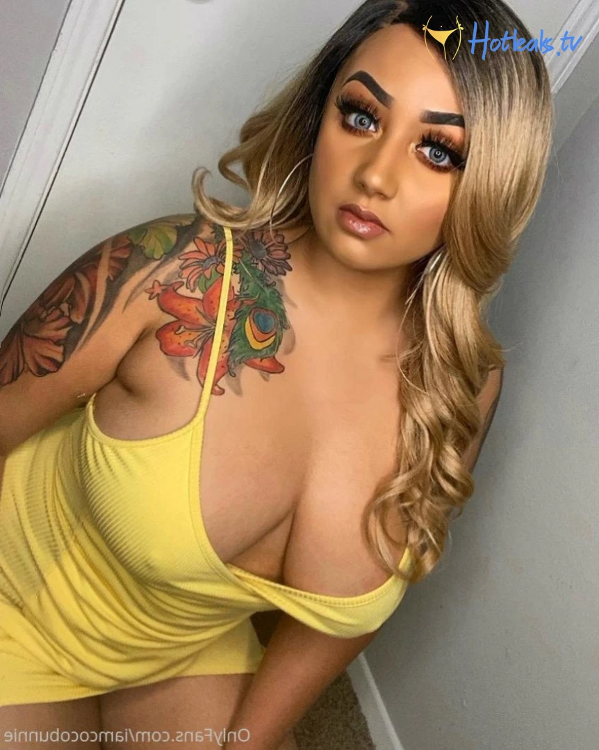 Babyface Internet Thot Coco Bunnie 🍑🐯 [ iamcocobunnie ] Onlyfans leaked  photo 497787 on Hotleaks.tv