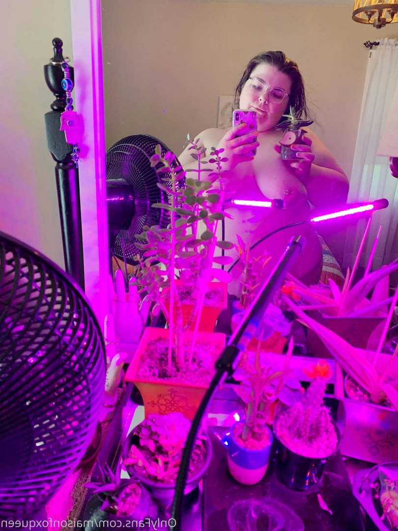 Maison Lynne Foxy [ maisonfoxqueen ] Onlyfans leaked photo 7911184 on Hotleaks.tv