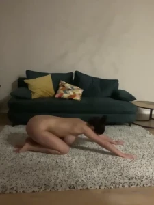 15910519
