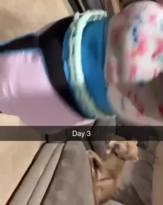 8682125