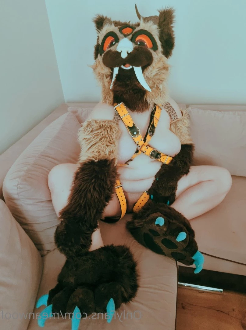meanwoof Onlyfans leaked photo 5346736 on Hotleaks.tv