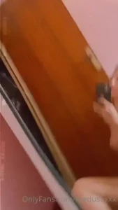 18266991