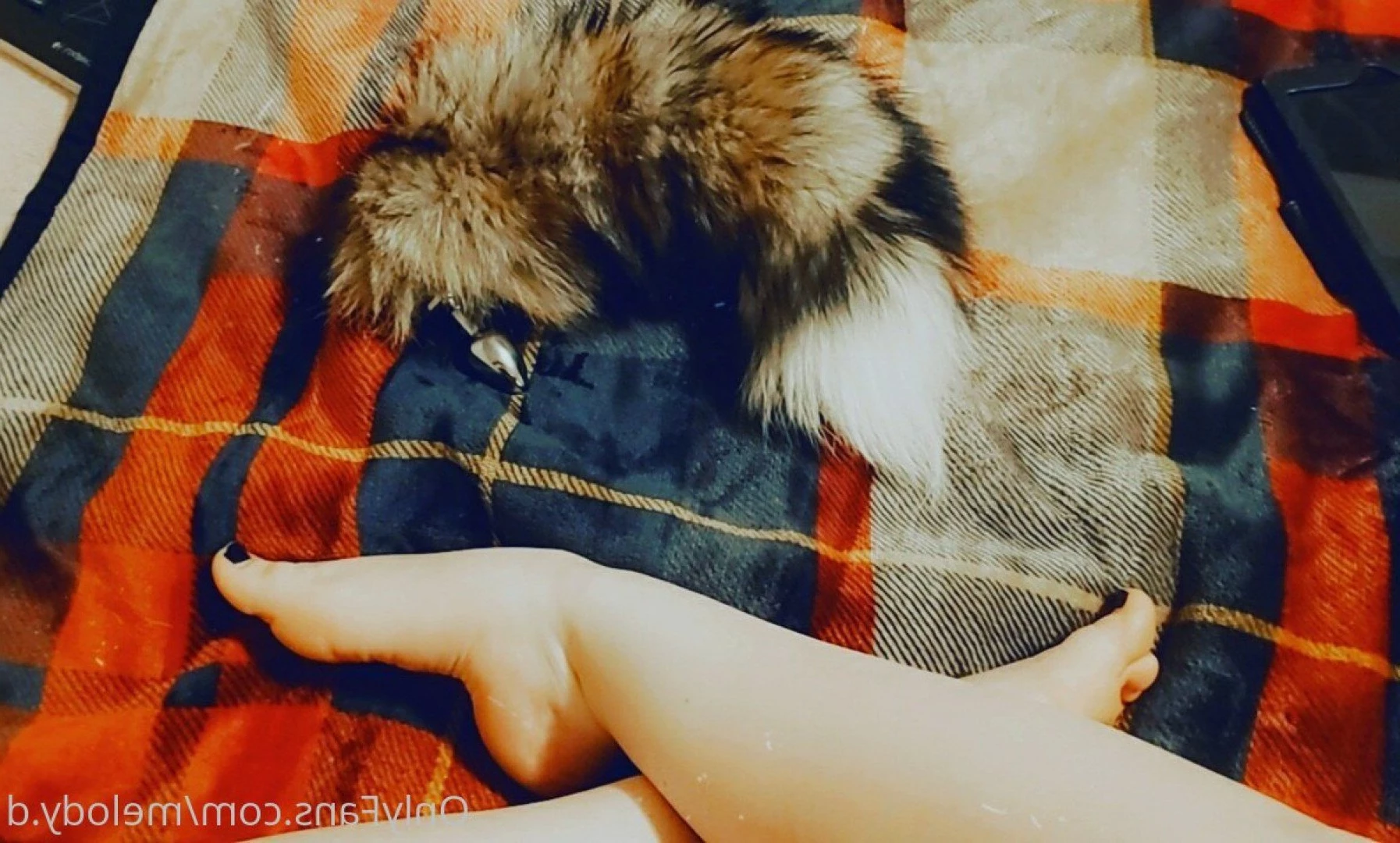 #𝙏𝙝𝙚𝙈𝙞𝙡𝙛𝙮𝙒𝙖𝙮 ™ [ melody.tmw ] Onlyfans leaked photo 5402038 on Hotleaks.tv