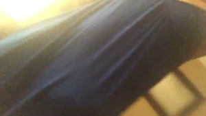 18266764