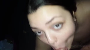 18266590