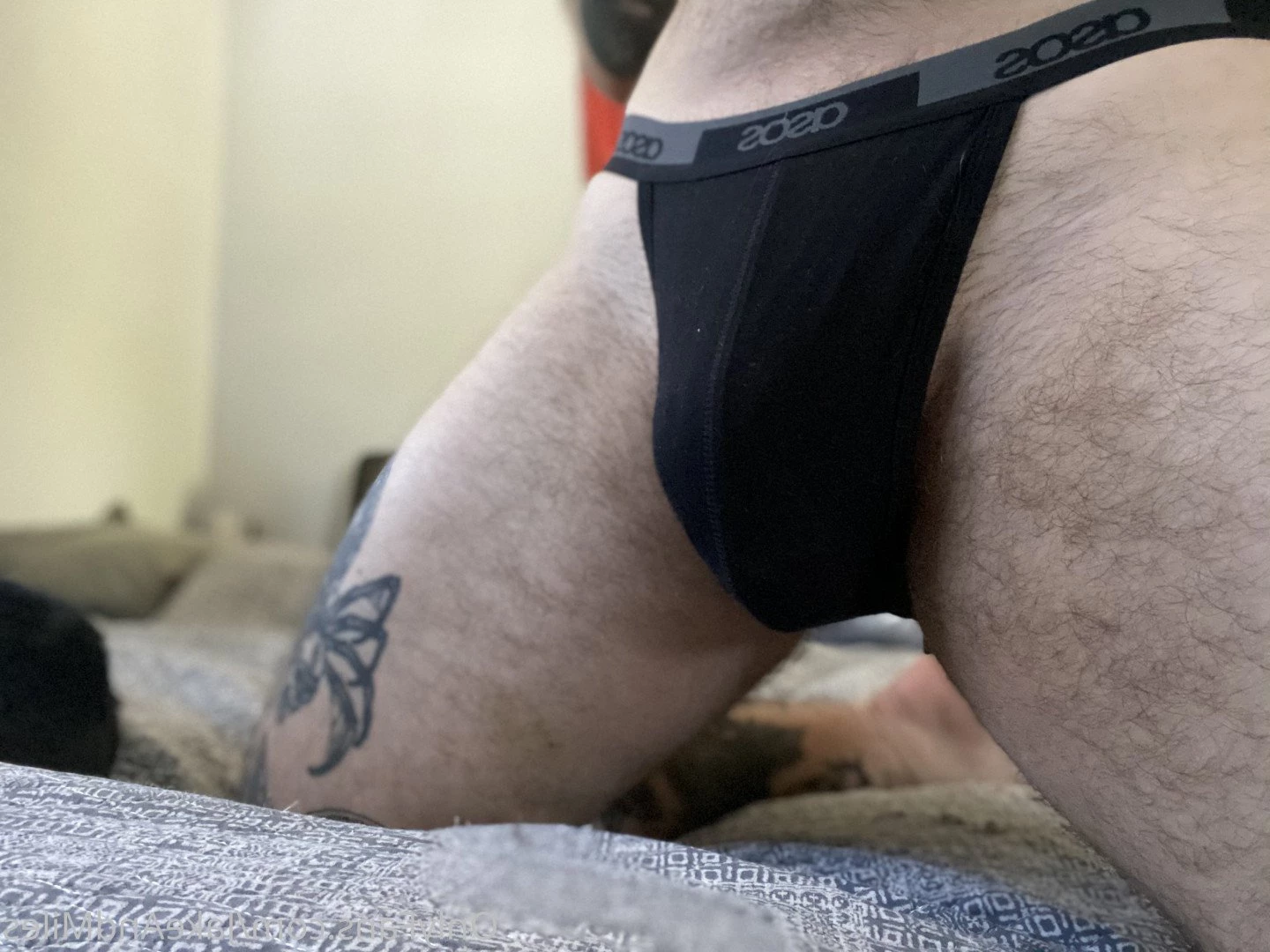 Miles 🌤🐶 [ milesmutt ] Onlyfans leaked photo 5389309 on Hotleaks.tv