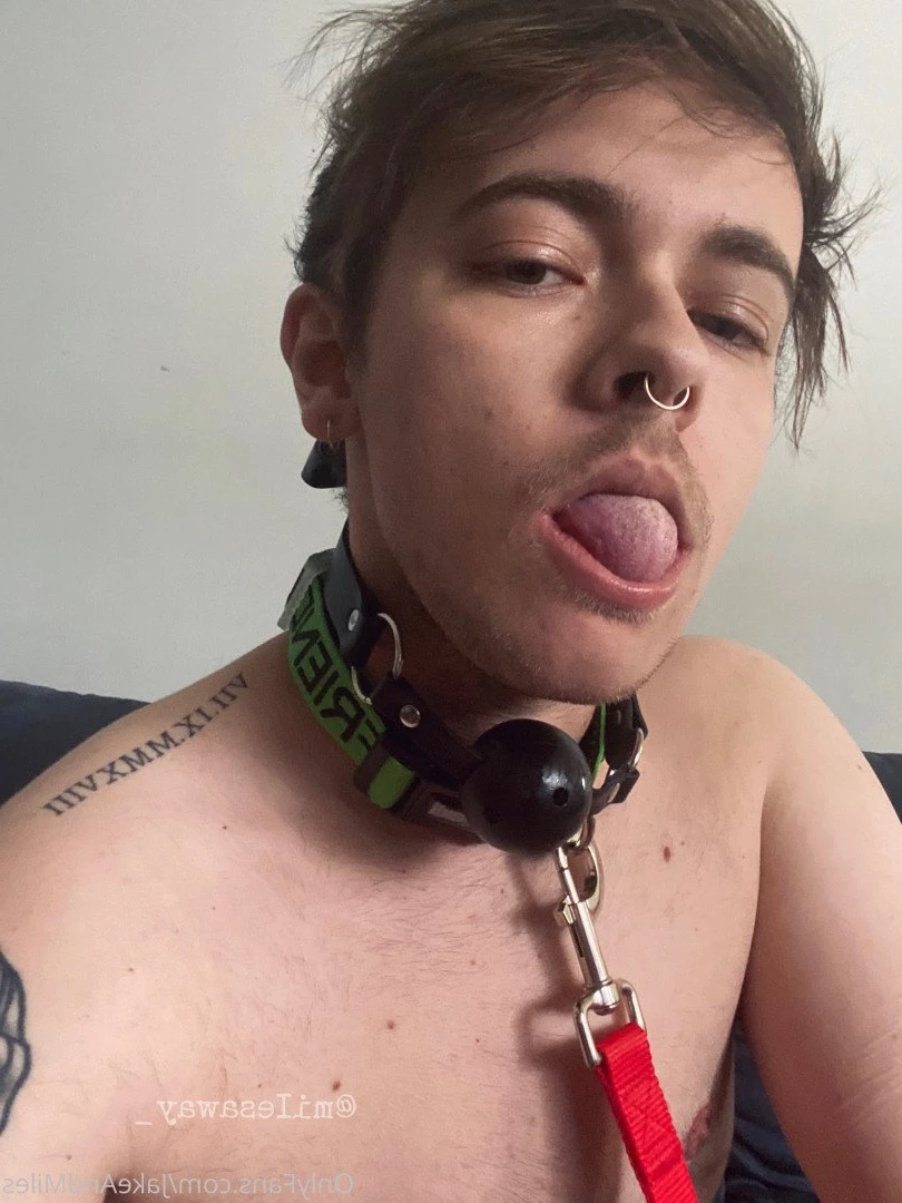 Miles 🌤🐶 [ milesmutt ] Onlyfans leaked photo 5392565 on Hotleaks.tv