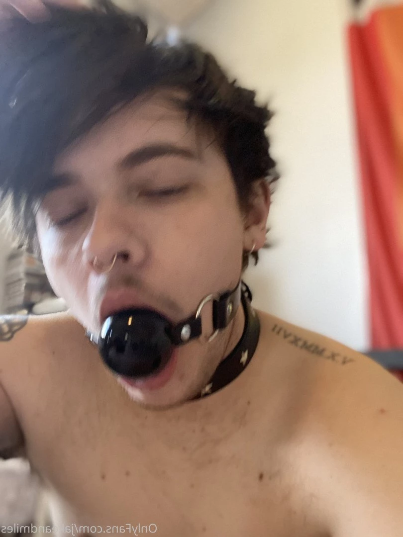 Miles 🌤🐶 [ milesmutt ] Onlyfans leaked photo 5394688 on Hotleaks.tv