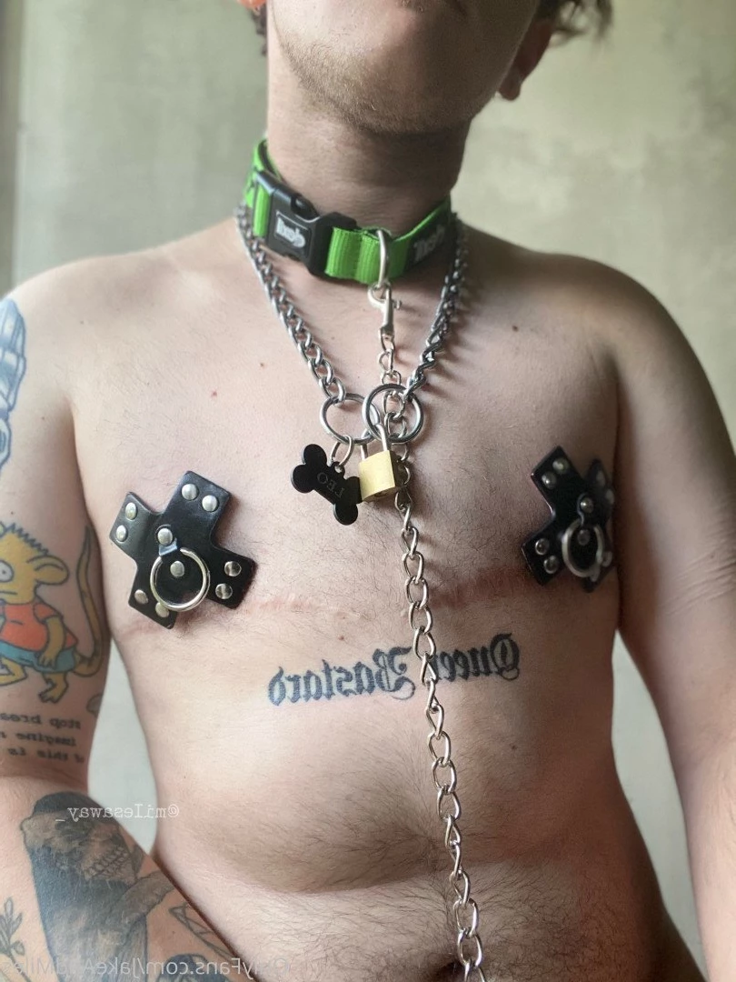 Miles 🌤🐶 [ milesmutt ] Onlyfans leaked photo 5395322 on Hotleaks.tv