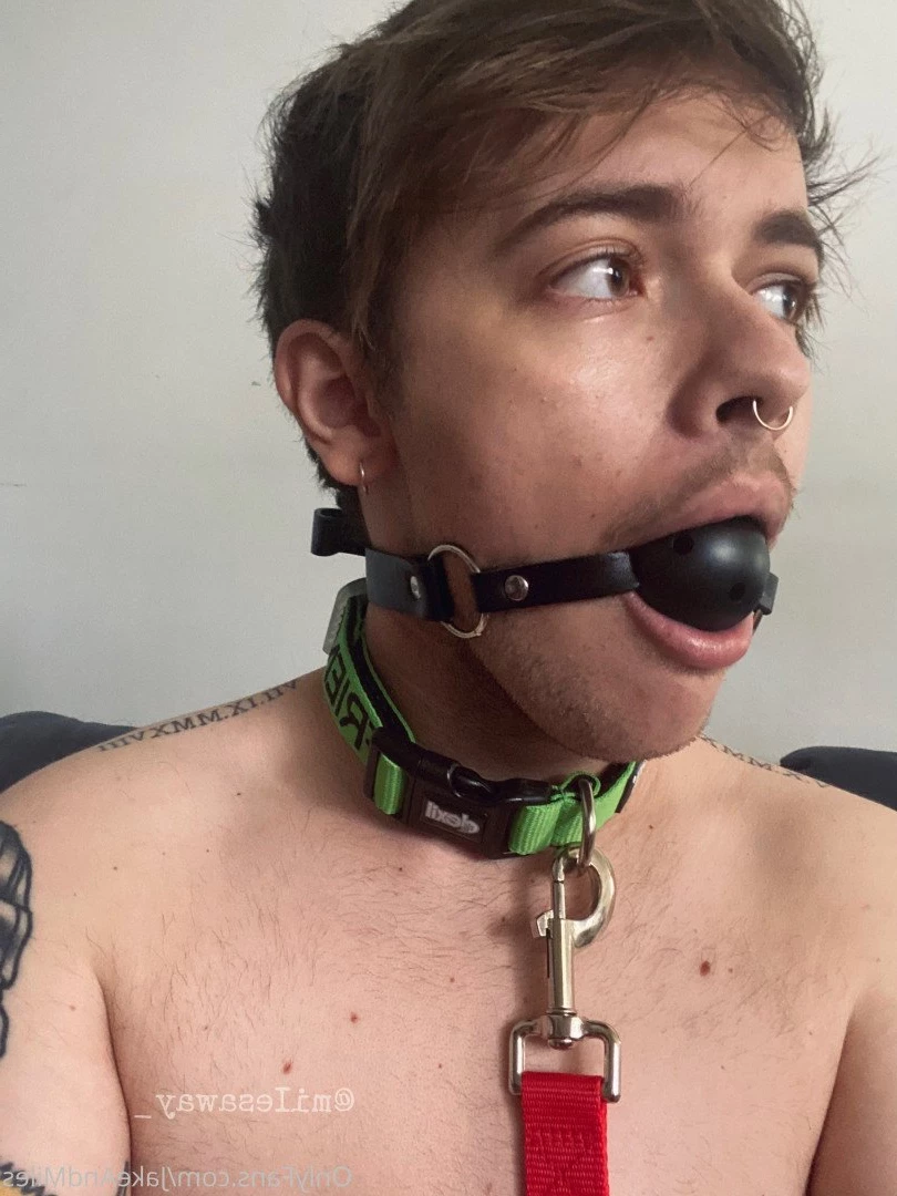 Miles 🌤🐶 [ milesmutt ] Onlyfans leaked photo 5396590 on Hotleaks.tv