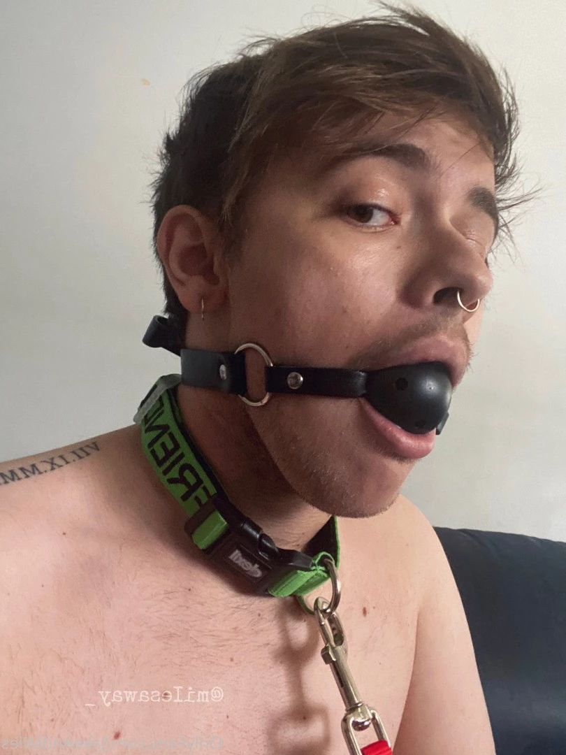 Miles 🌤🐶 [ milesmutt ] Onlyfans leaked photo 5398999 on Hotleaks.tv
