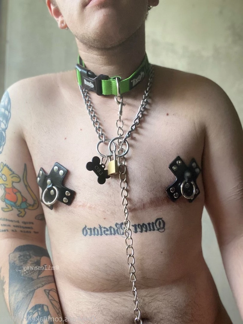 Miles 🌤🐶 [ milesmutt ] Onlyfans leaked photo 5400835 on Hotleaks.tv