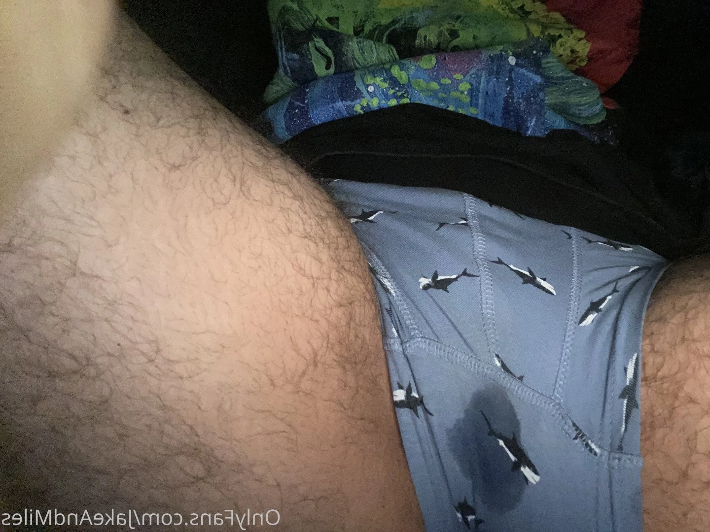 Miles 🌤🐶 [ milesmutt ] Onlyfans leaked photo 5400865 on Hotleaks.tv