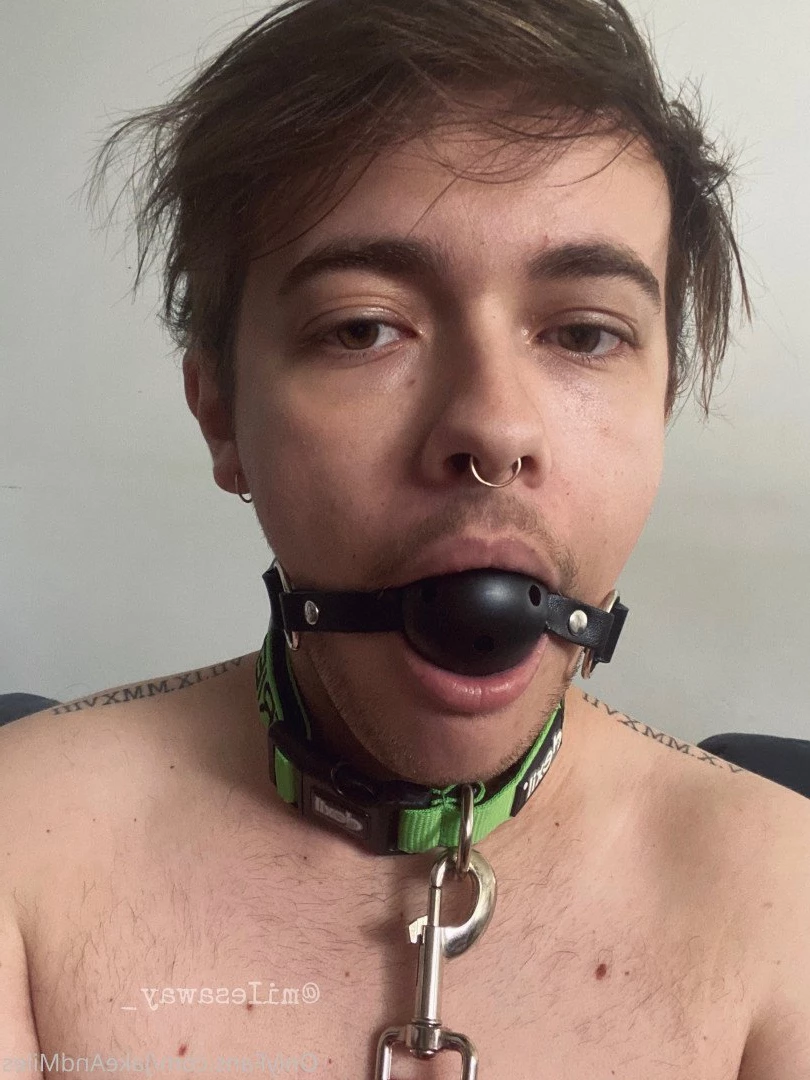 Miles 🌤🐶 [ milesmutt ] Onlyfans leaked photo 5401272 on Hotleaks.tv