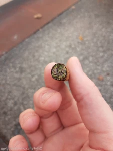 5530514