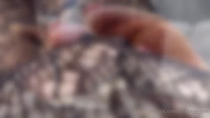 5217044