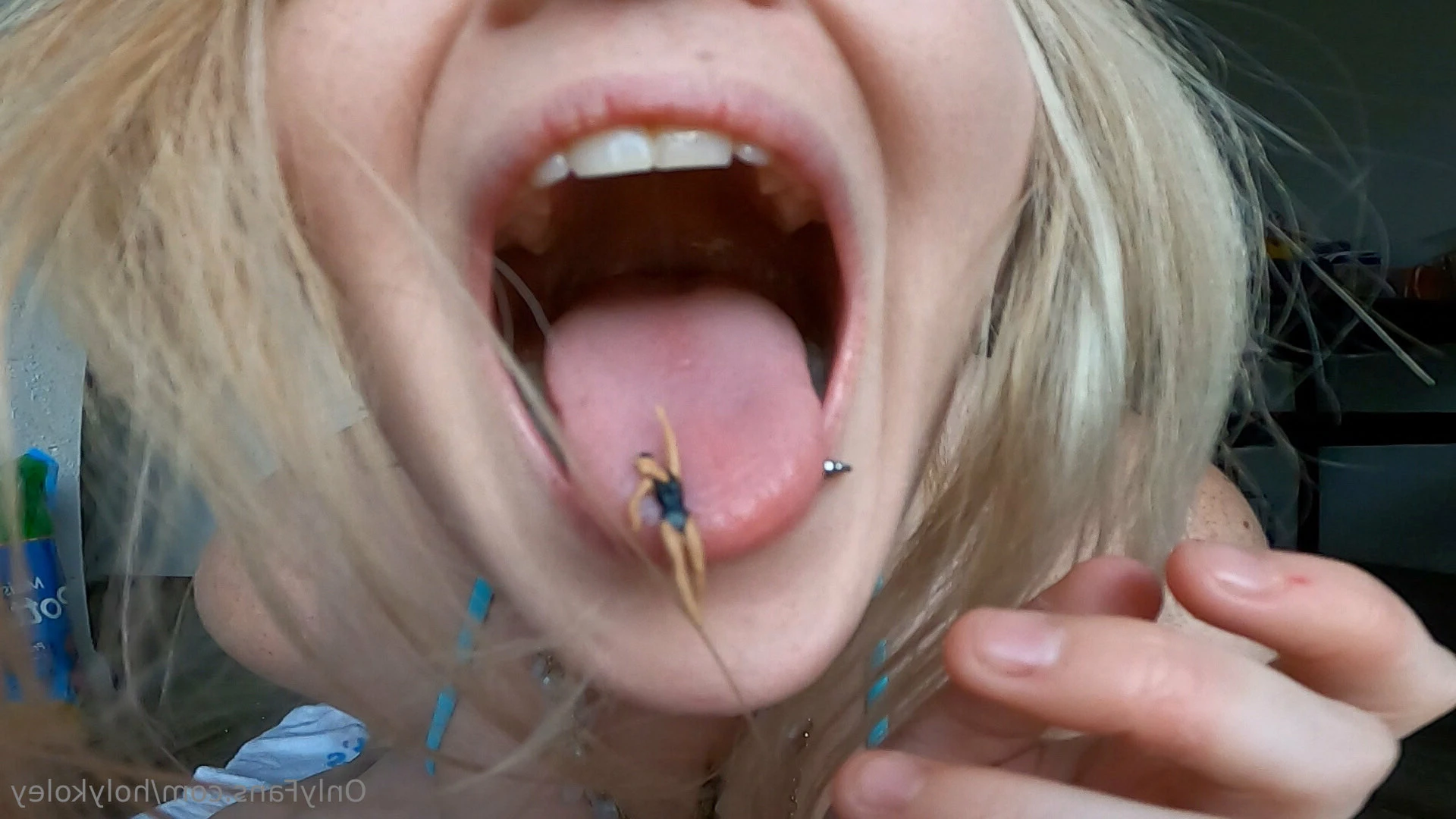 holykoley Onlyfans leaked photo 7830293 on Hotleaks.tv