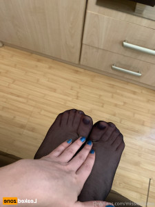 16691605