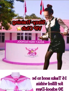 16220667